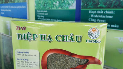 TRÀ DIỆP HẠ CHÂU