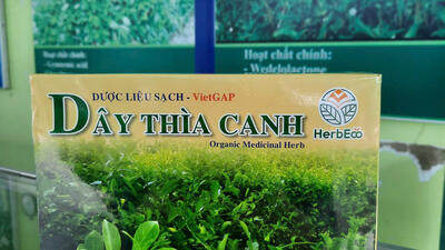 DÂY THÌA CANH